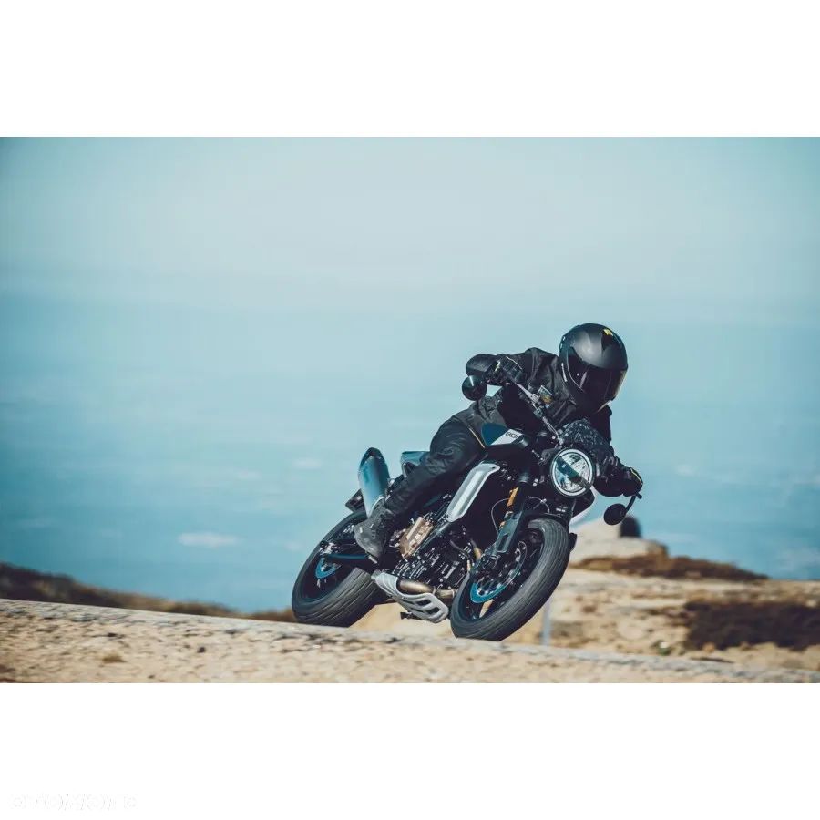 Husqvarna Svartpilen - 14