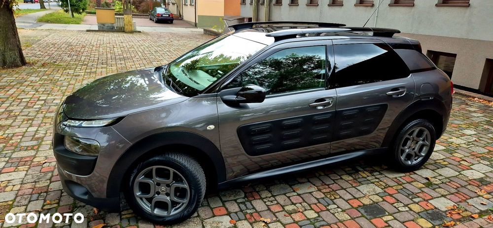 Citroën C4 Cactus PureTech 82 Shine Edition - 29