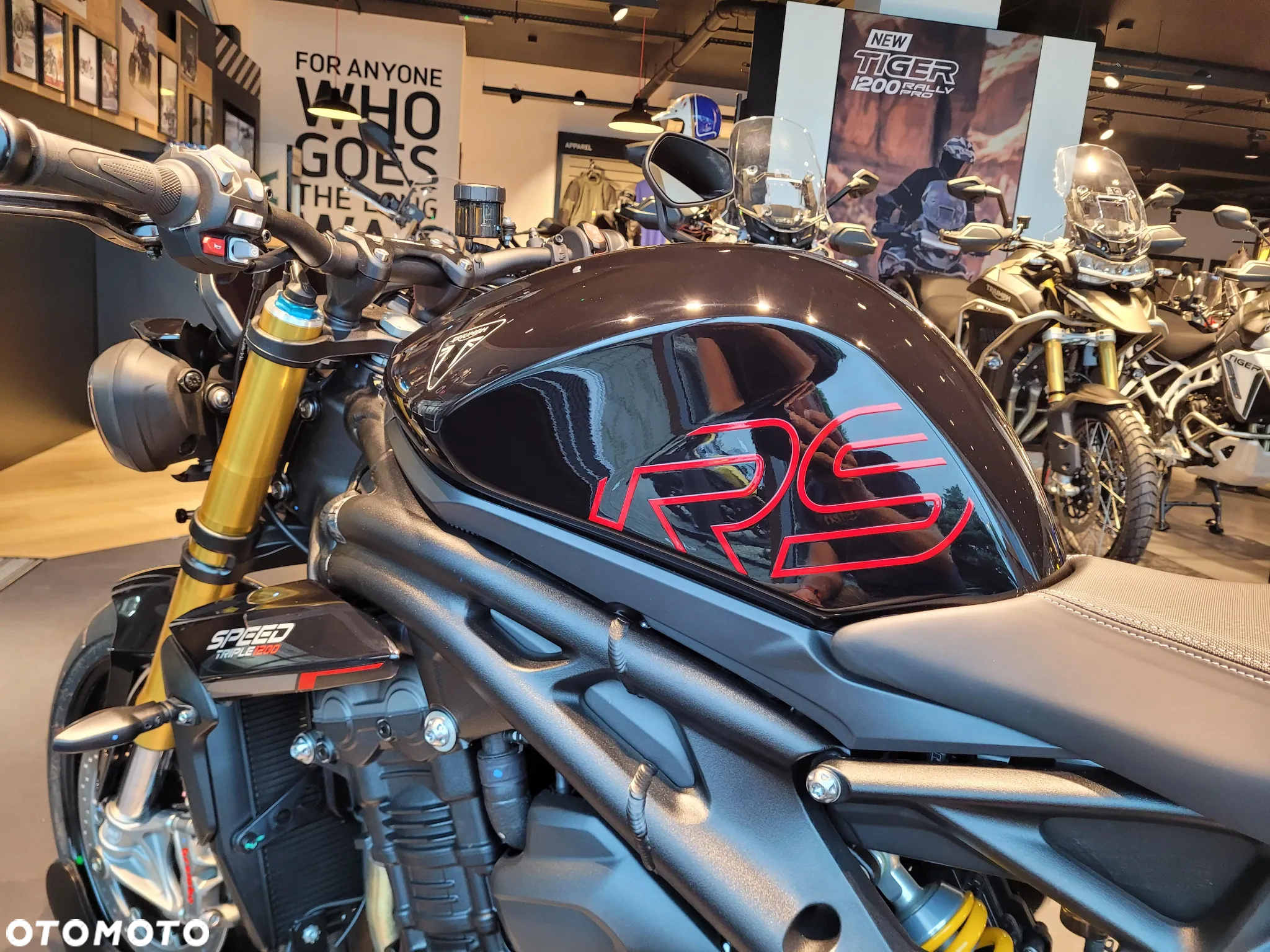 Triumph Speed Triple - 4
