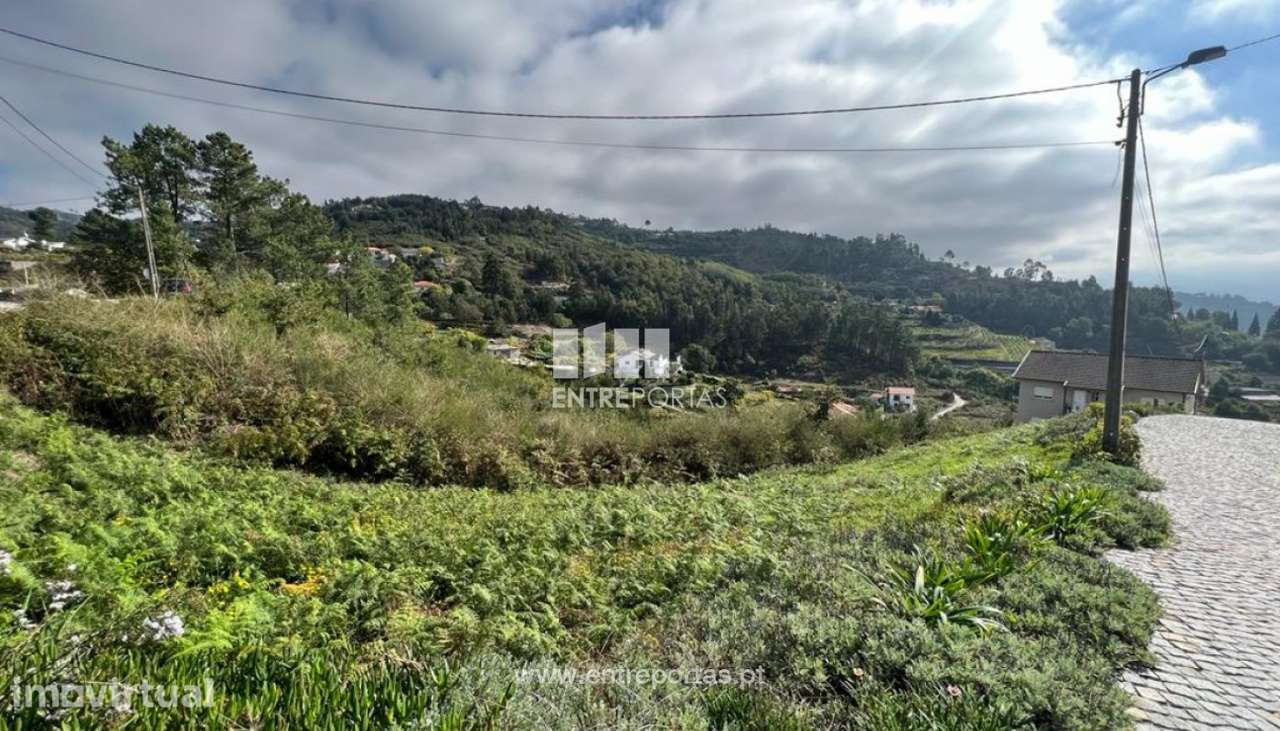 Venda Terreno, Santa Leocádia e Mesquinhata, Baião - Grande imagem: 5/30