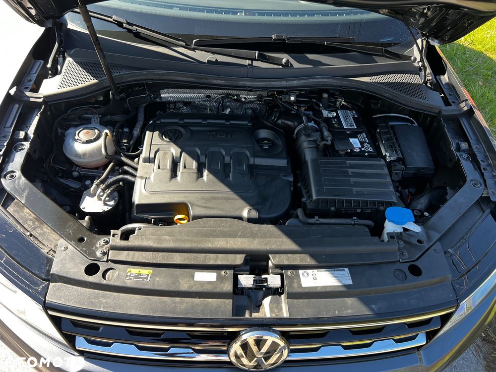 Volkswagen Tiguan - 38