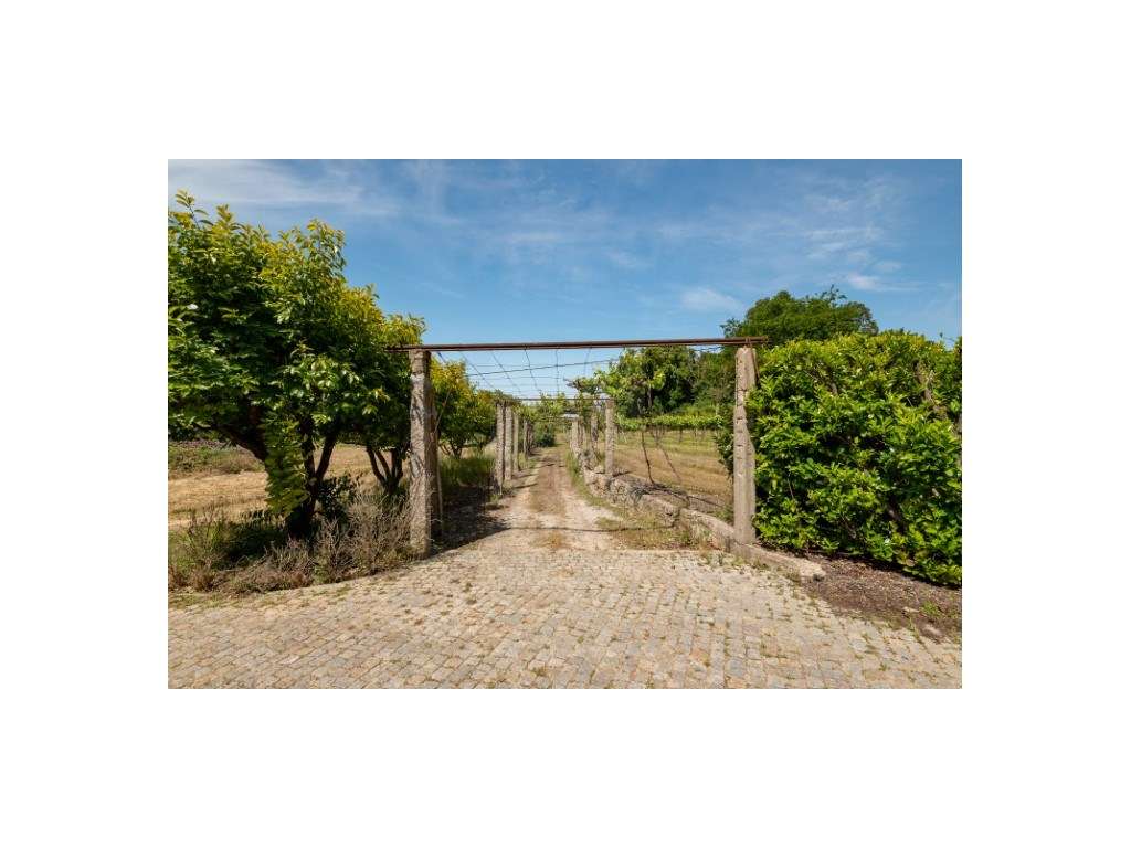 Quintinha para venda na Maia - Grande imagem: 2/30