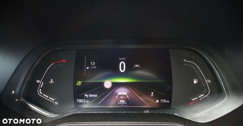 Renault Clio - 22