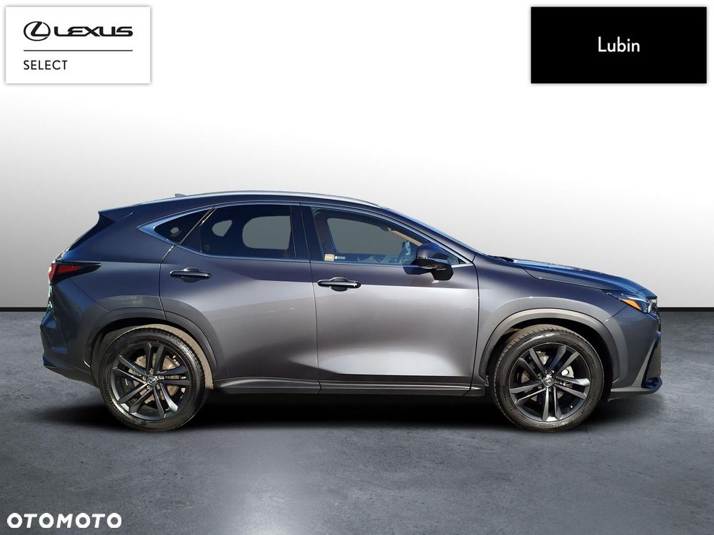 Lexus NX - 6