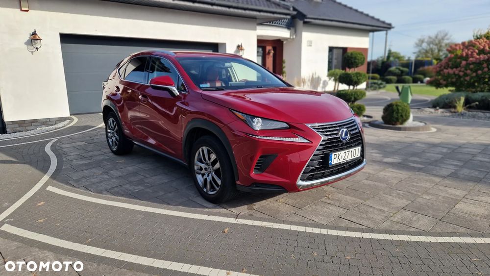 Lexus NX 300 Elegance AWD - 3