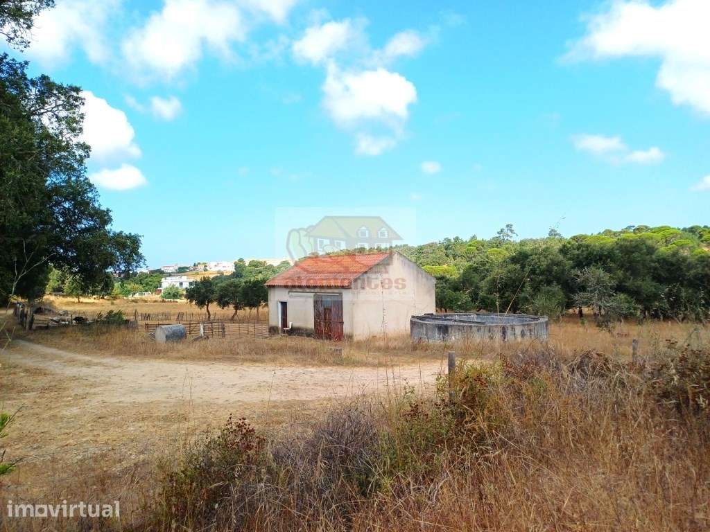 Propriedade Rústica de 8 Hectares em Melides - Excelente Oportunidade - Grande imagem: 5/19