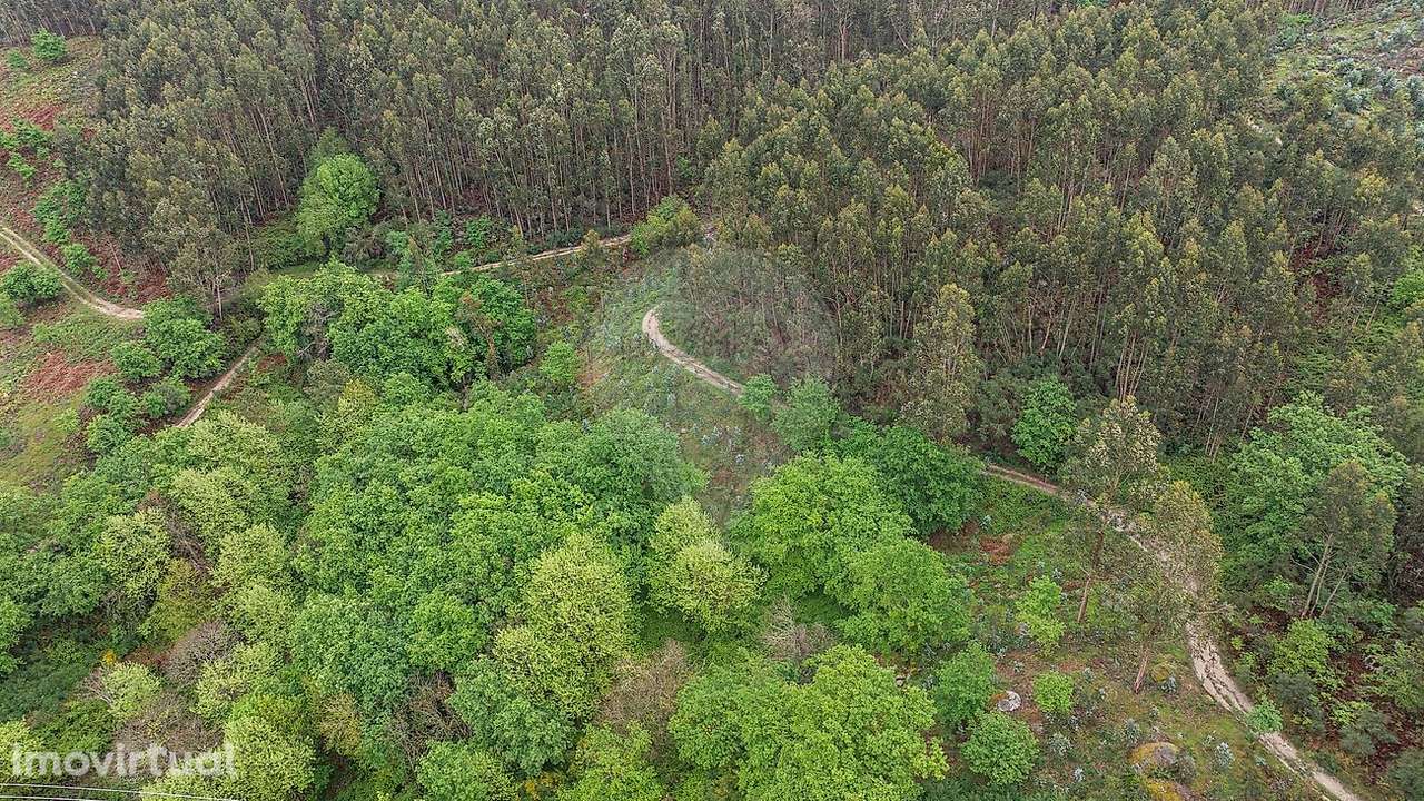 Terreno  para venda - Grande imagem: 4/9