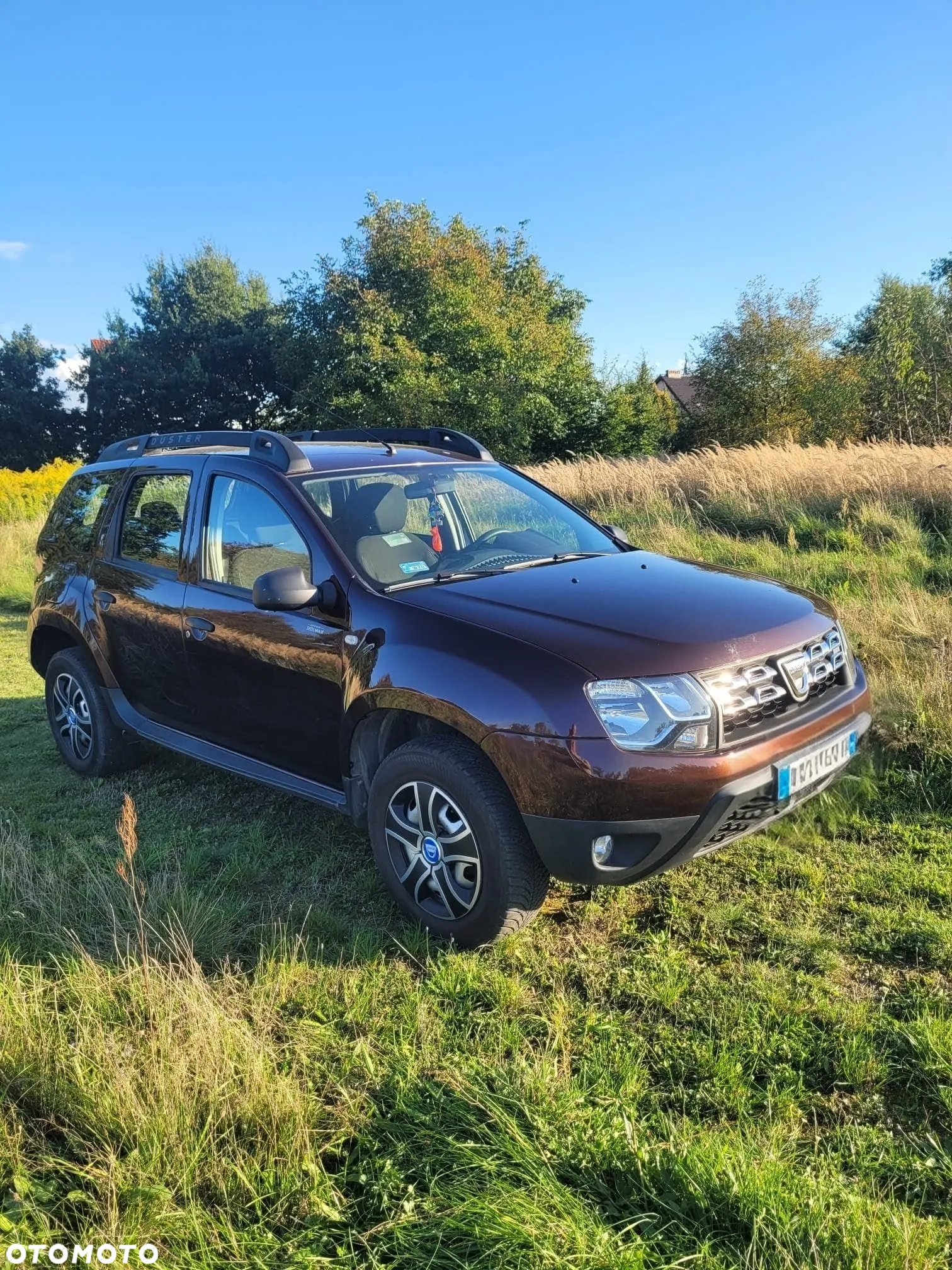Dacia Duster 1.6 SCe Ambiance S&S - 2