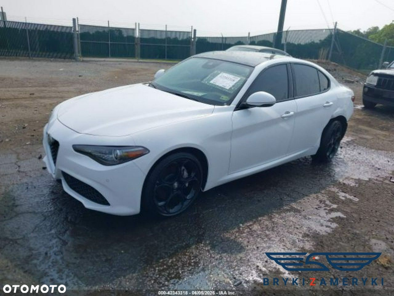 Alfa Romeo Giulia - 3