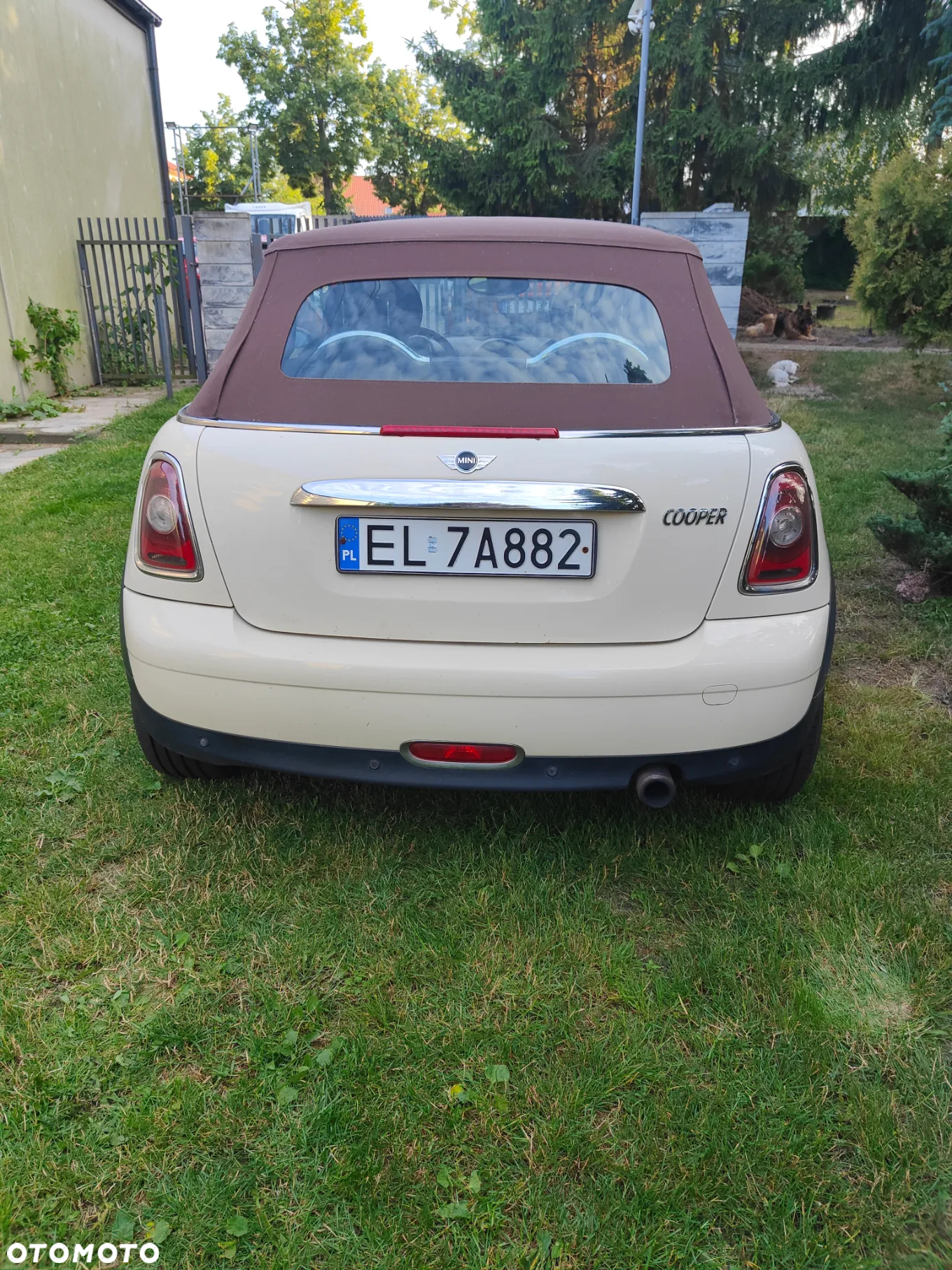 MINI Cooper Cabrio - 4