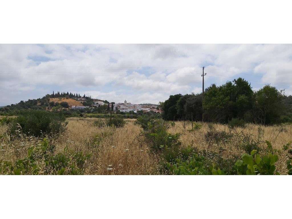 Terreno agrícola, várias culturas, Paderne, Albufeira, Algarve - Grande imagem: 5/15