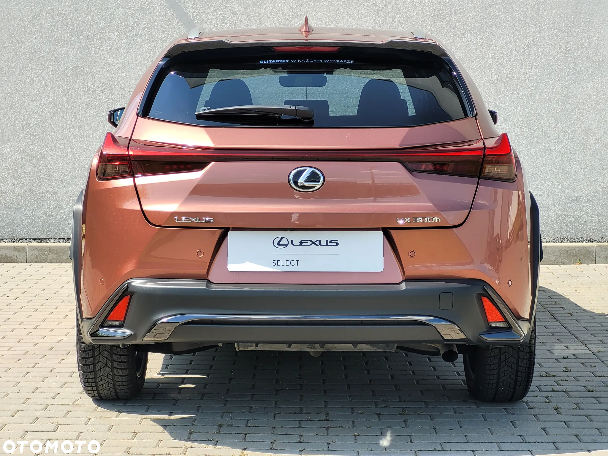 Lexus UX 300h F Sport Design - 21
