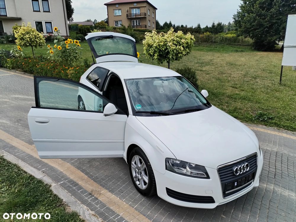 Audi A3 3-drzwiowe 1.6 Ambiente - 10
