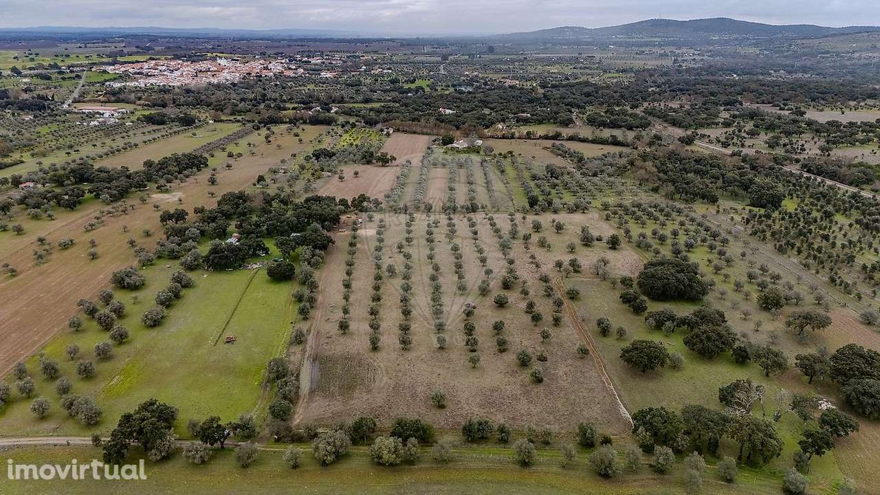 Terreno  para venda - Grande imagem: 3/7