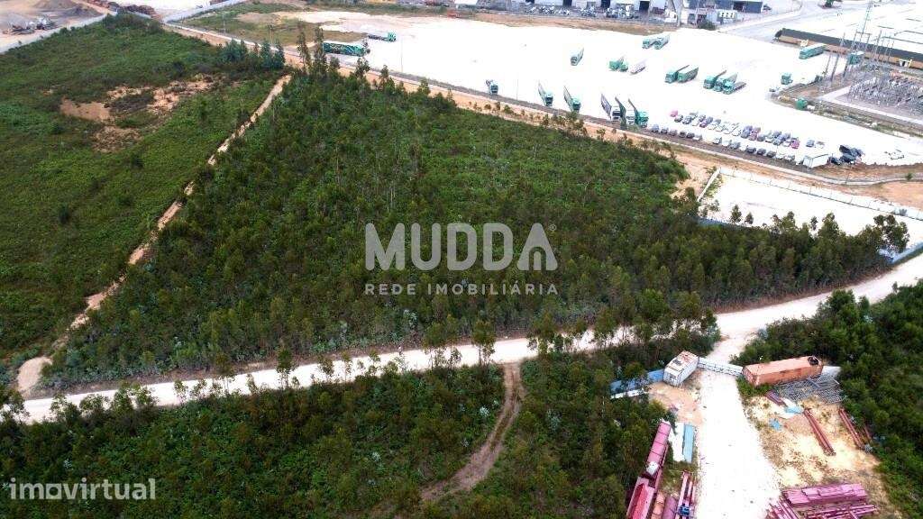 OPORTUNIDADE ÚNICA – TERRENO INDUSTRIAL PREMIUM EM ALBERGARIA-A-VELHA - Grande imagem: 4/7