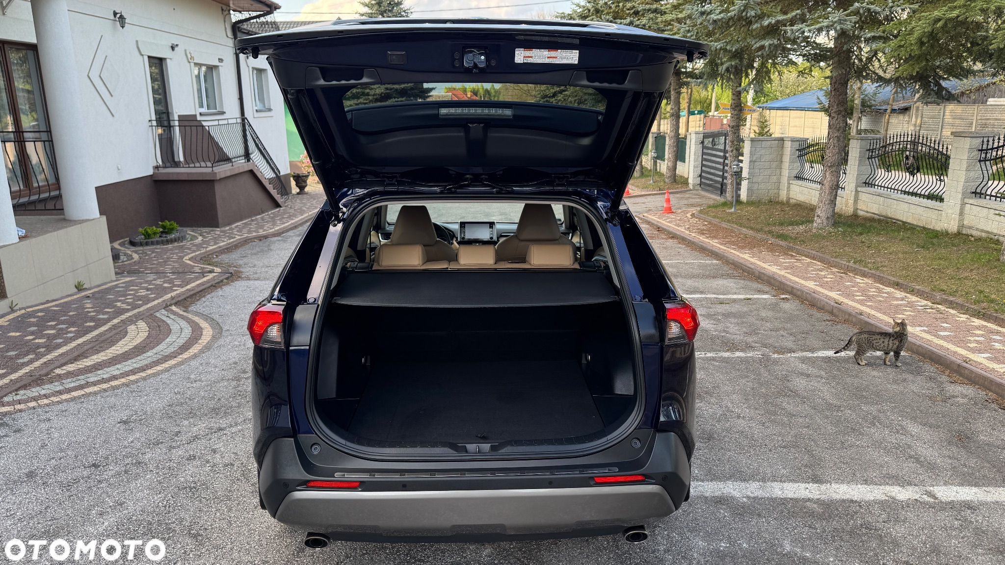 Toyota RAV4 - 17
