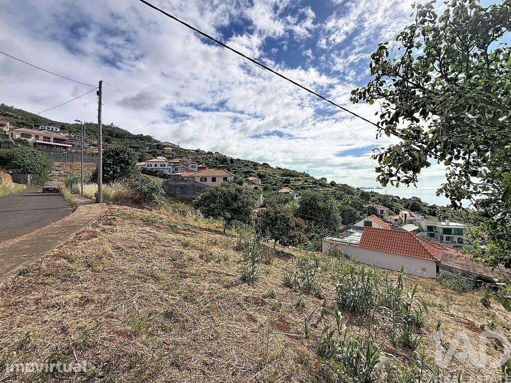 Terreno para construção em Santa Cruz - Grande imagem: 3/6
