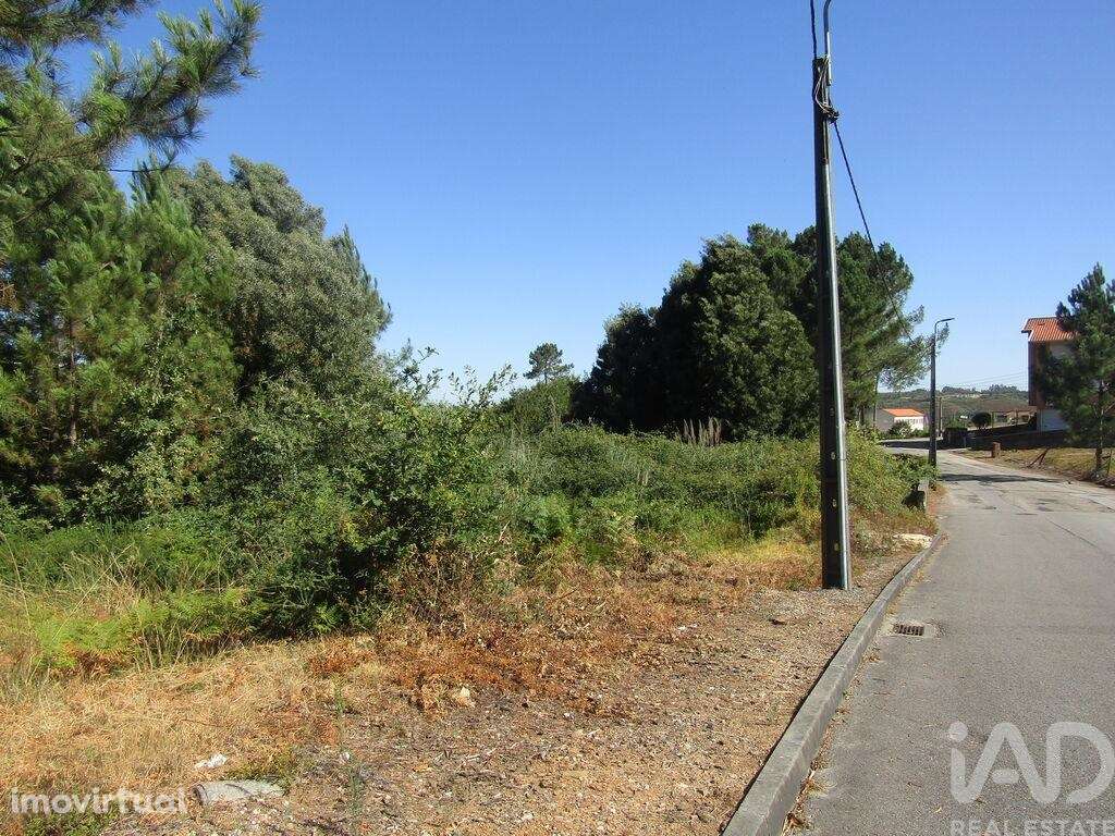 Terreno Agrícola em Sandim, Olival, Lever e Crestuma - Grande imagem: 4/15