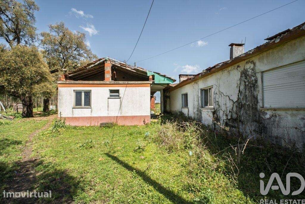 Terreno em Souto da Carpalhosa e Ortigosa de 161861,00 m2 - Grande imagem: 4/17