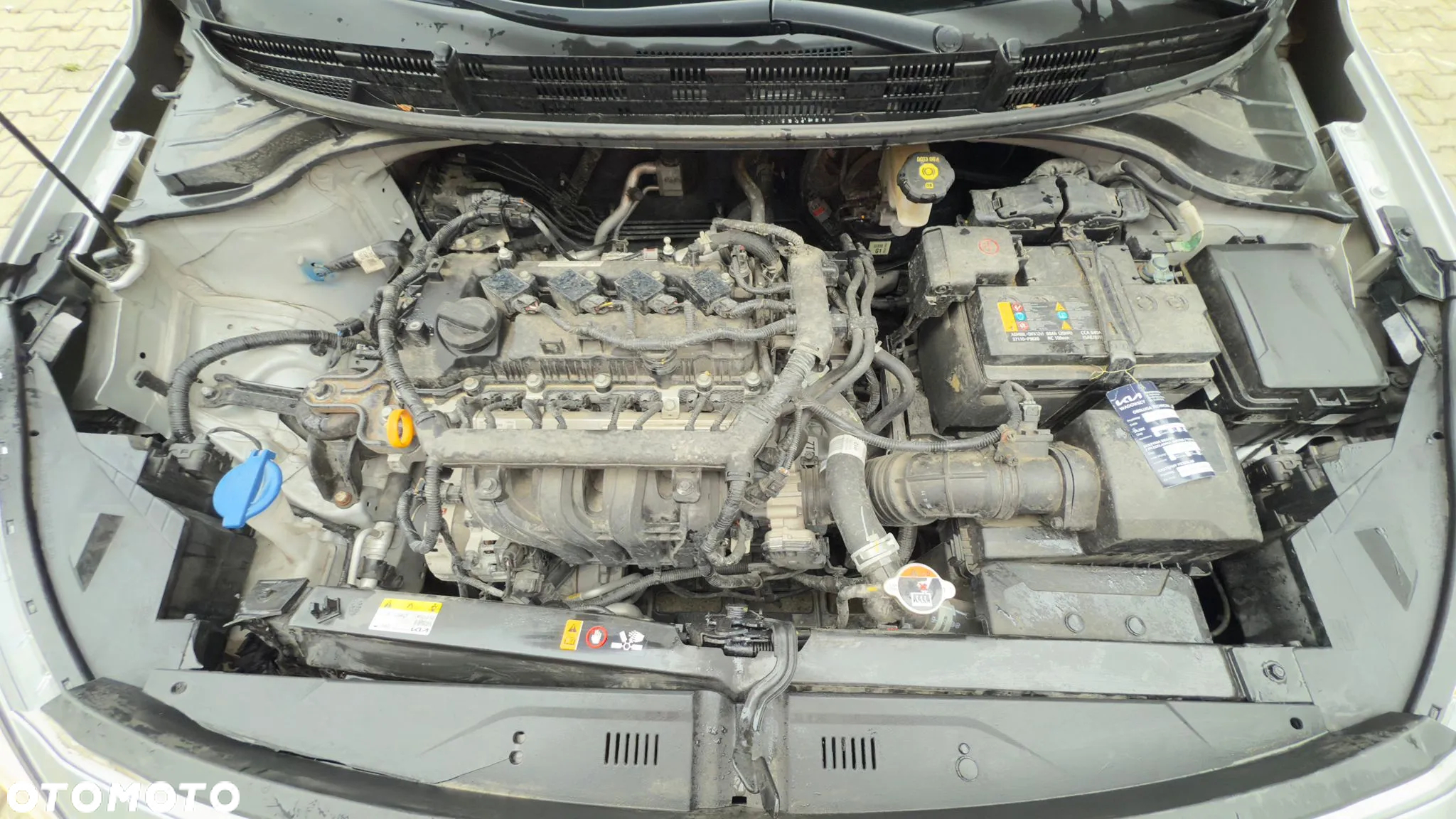 Kia Rio - 19