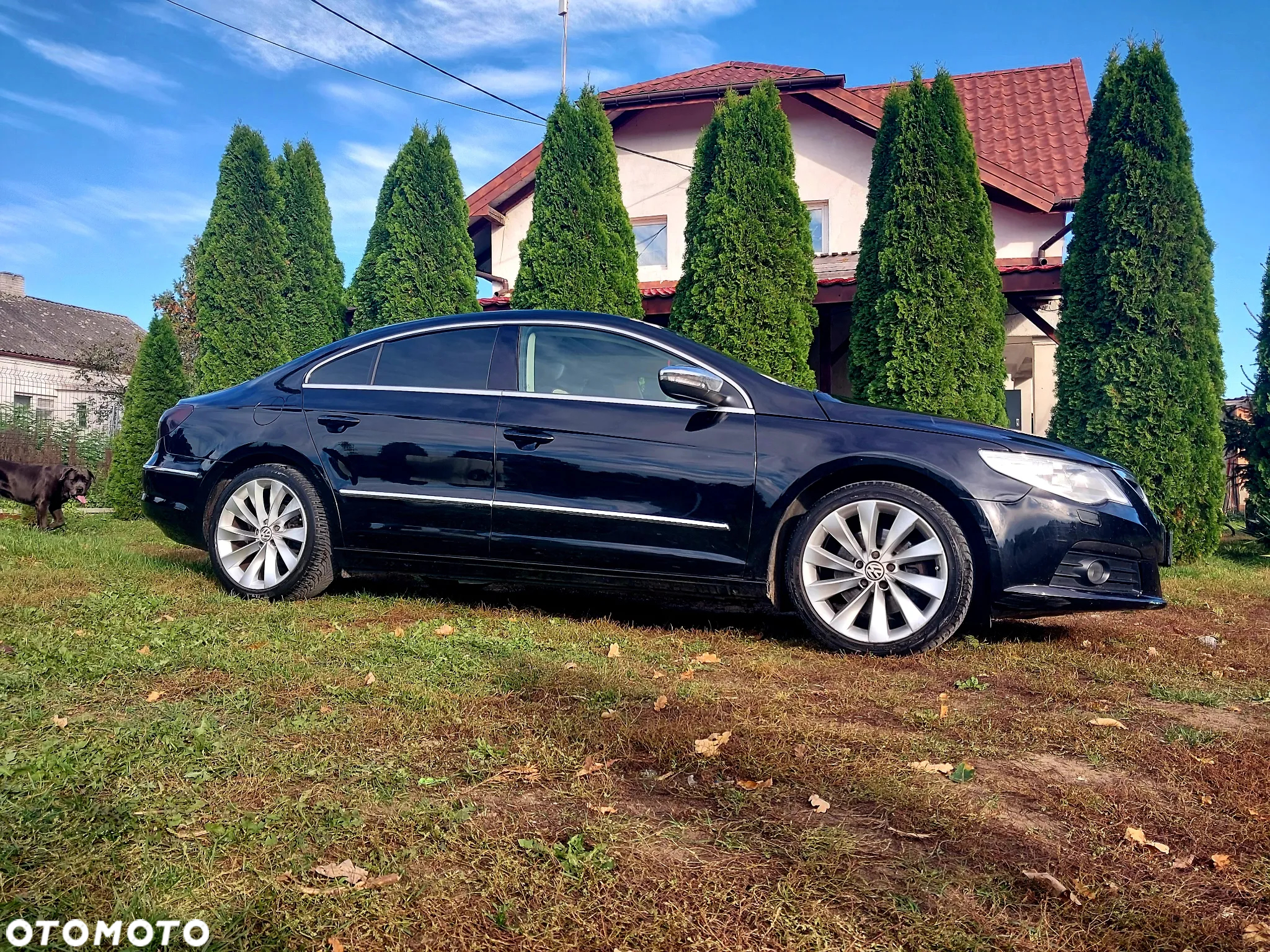 Volkswagen CC - 5