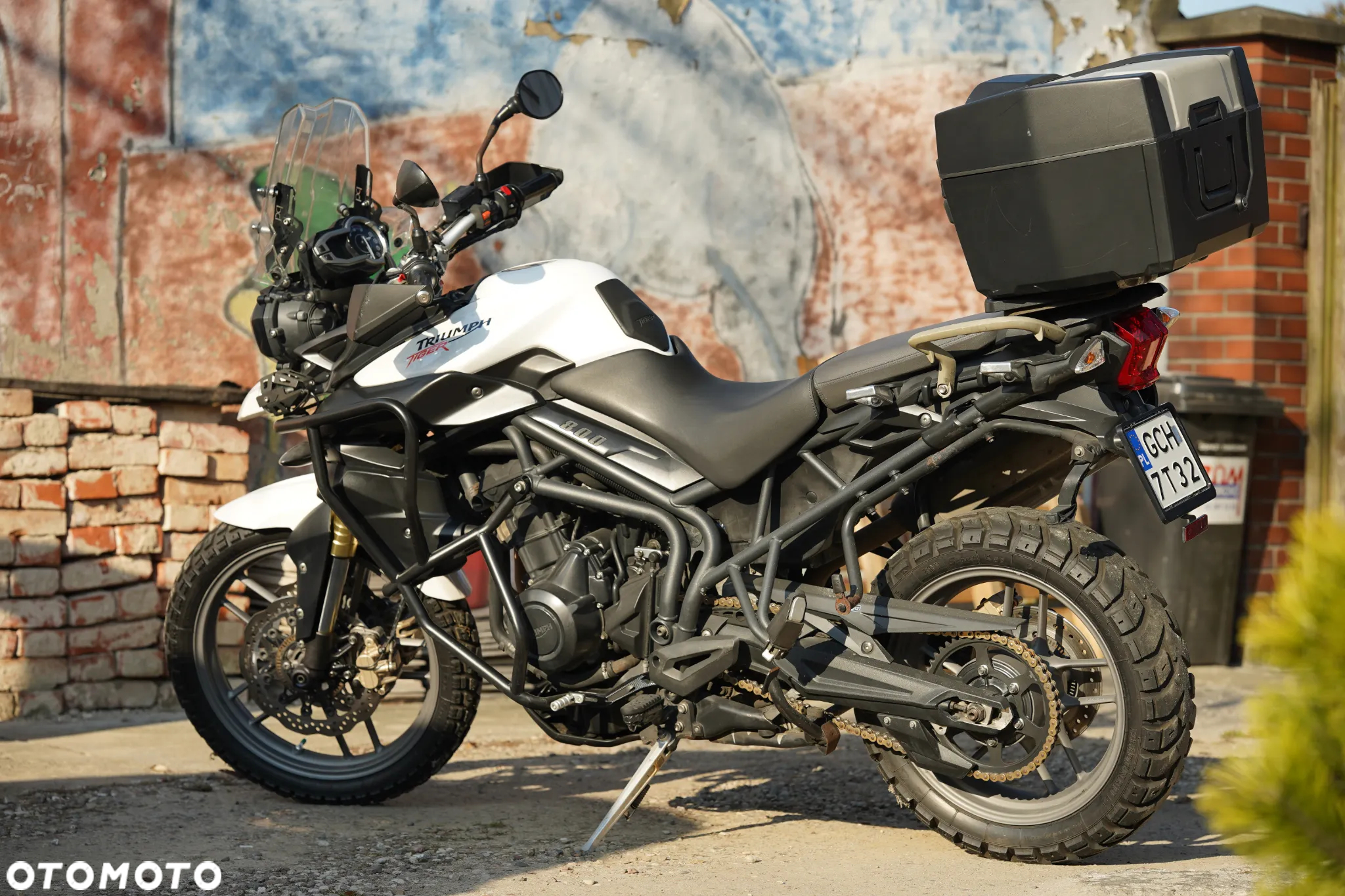 Triumph Tiger - 23
