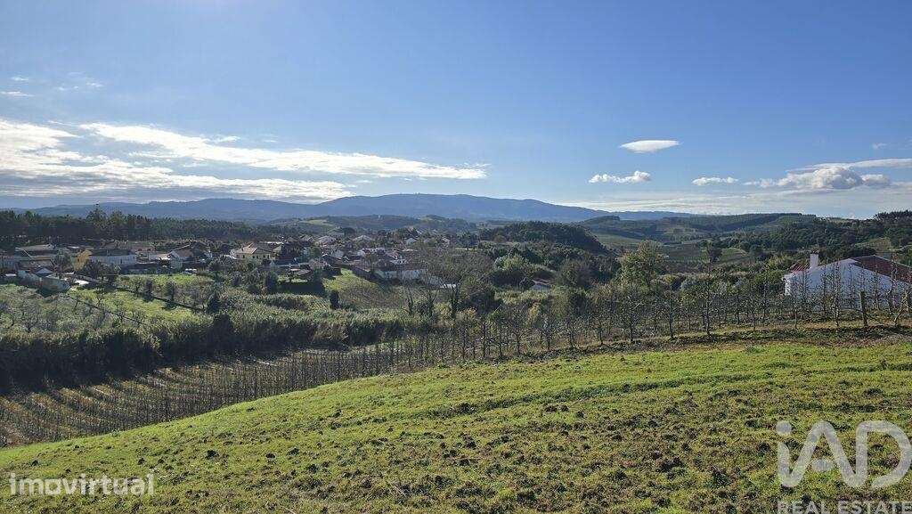Terreno em Peral - Grande imagem: 4/6