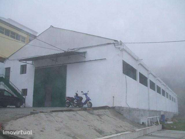 Armazém / Pavilhão - Sineiro - Grande imagem: 2/7