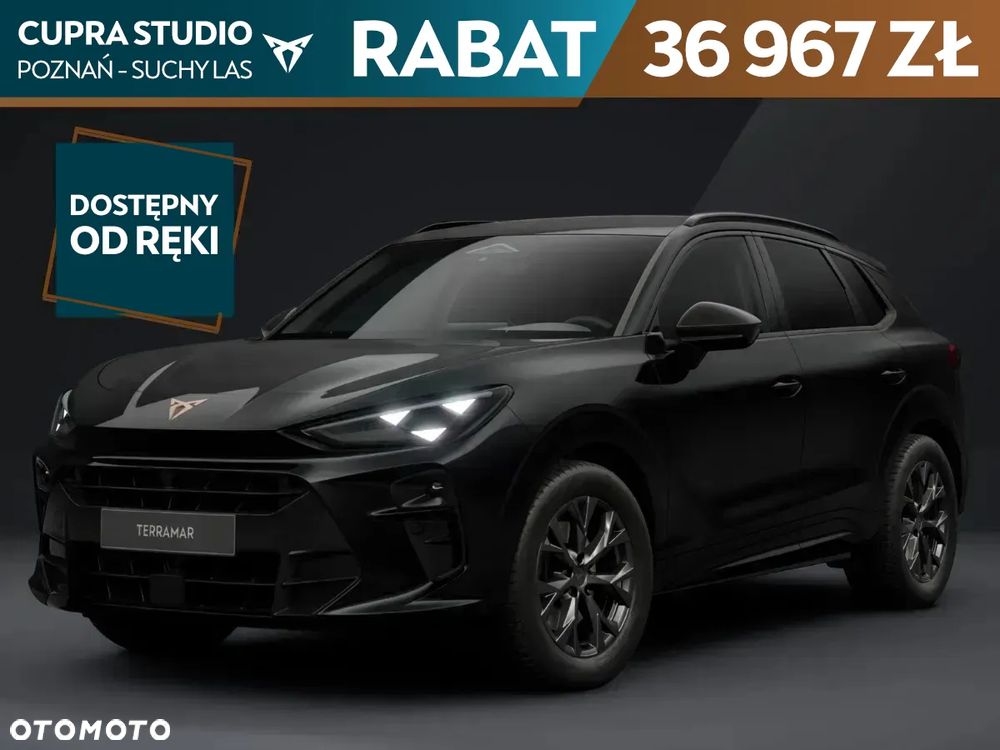Cupra Terramar - 1