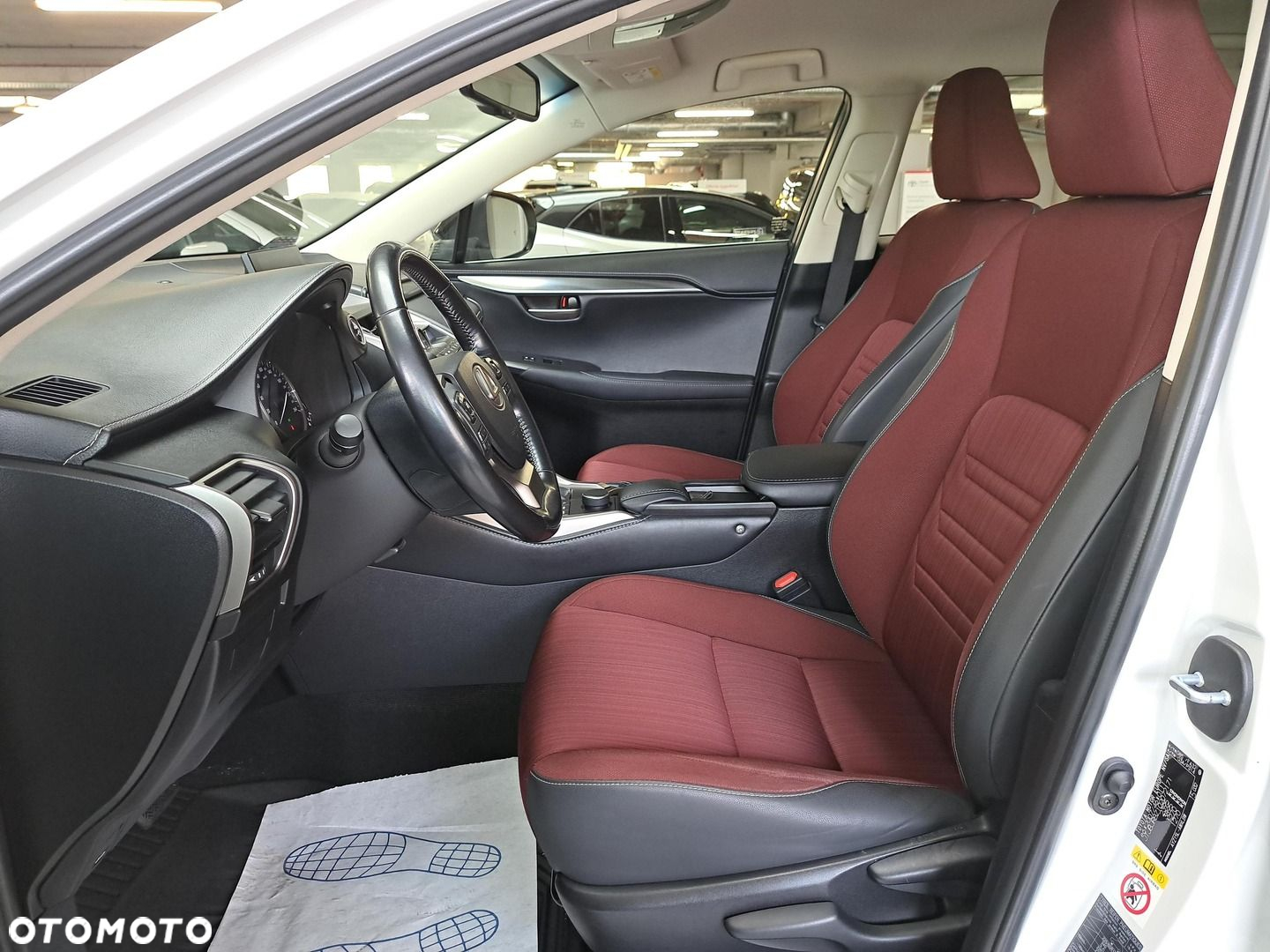 Lexus NX - 10
