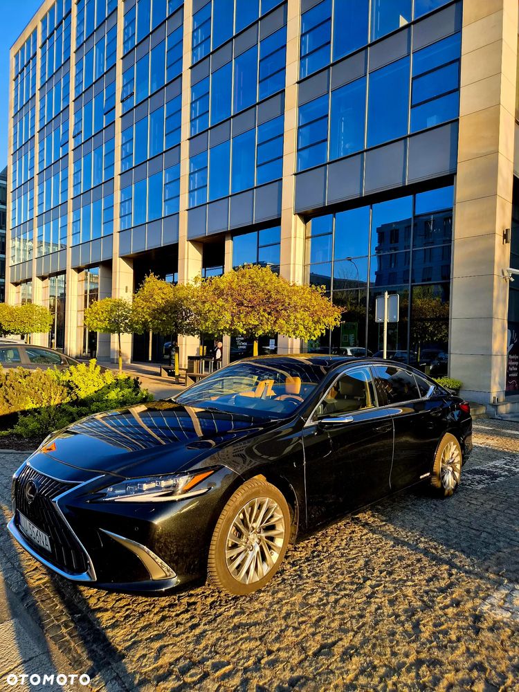 Lexus ES 300h Omotenashi - 4