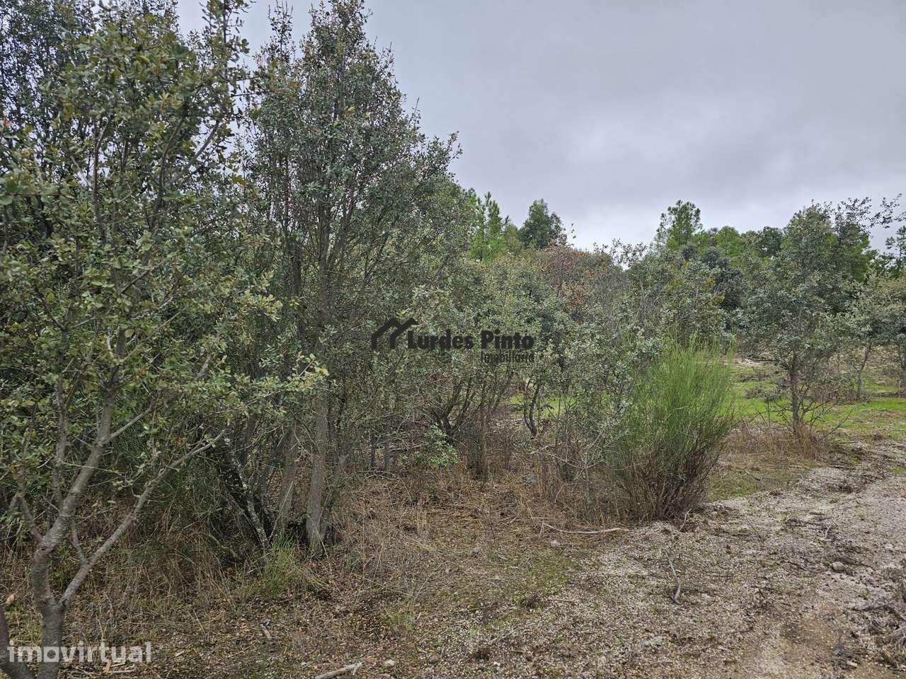 Terreno plano com bom acesso - Grande imagem: 2/3