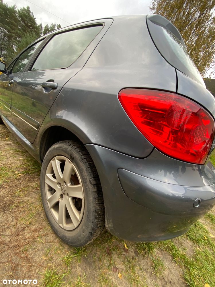 Peugeot 307 - 21