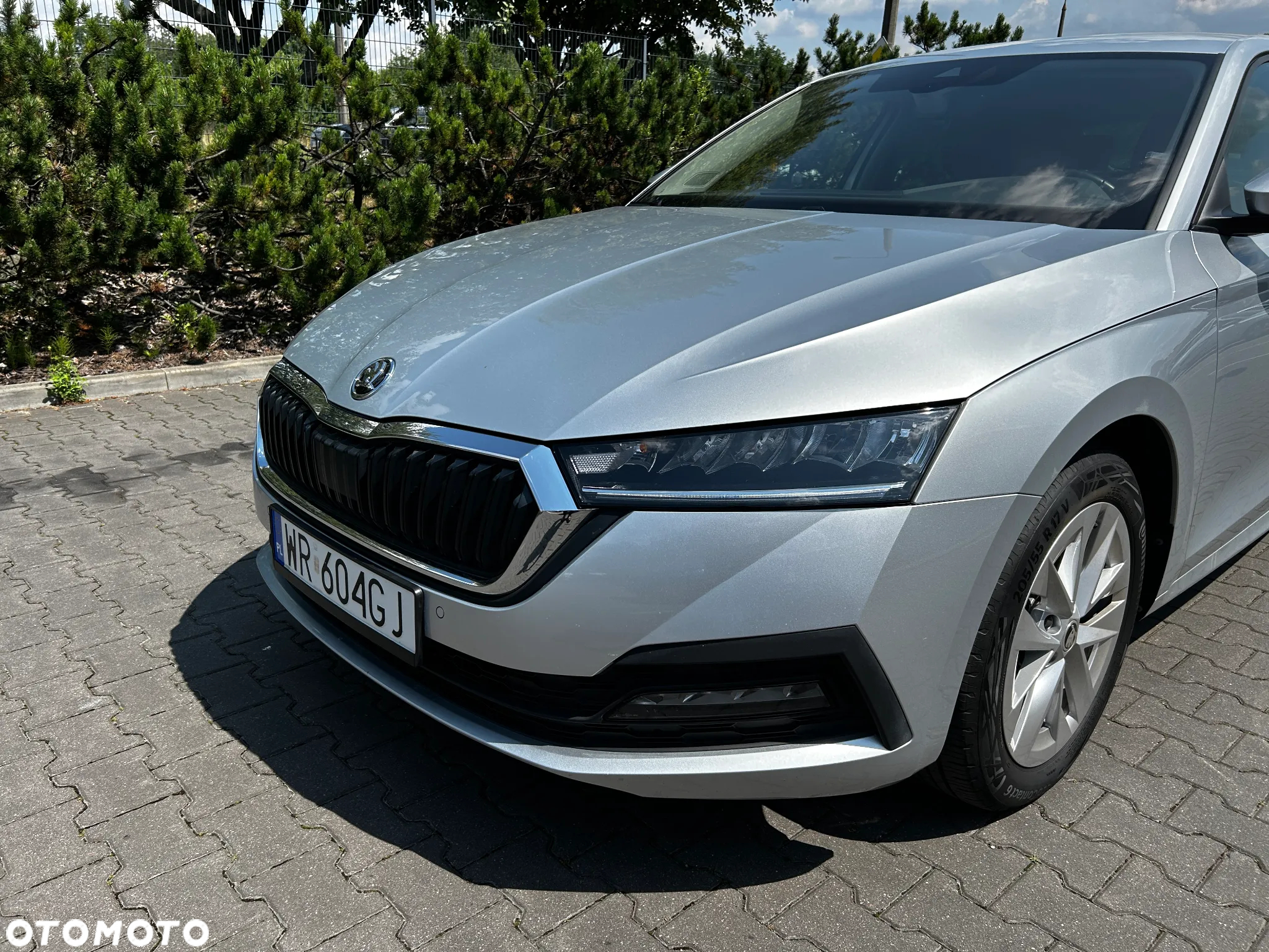 Skoda Octavia - 3