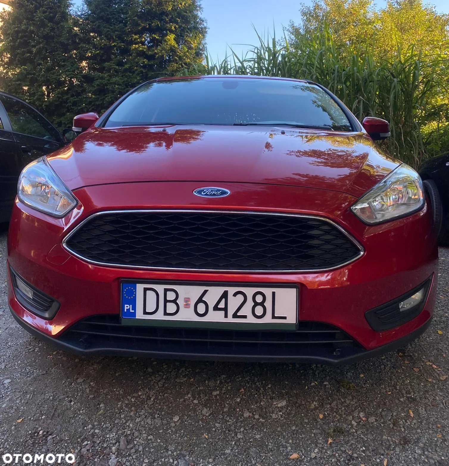 Ford Focus 1.5 TDCi Red Edition - 11