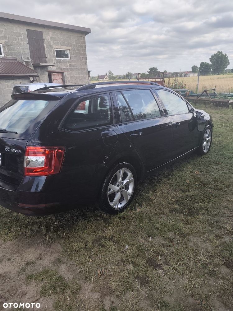 Skoda Octavia - 3