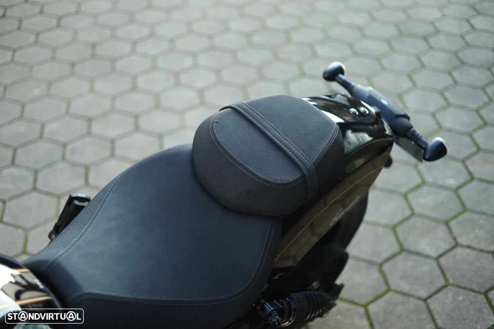 Benda Chinchilla 500 - 17