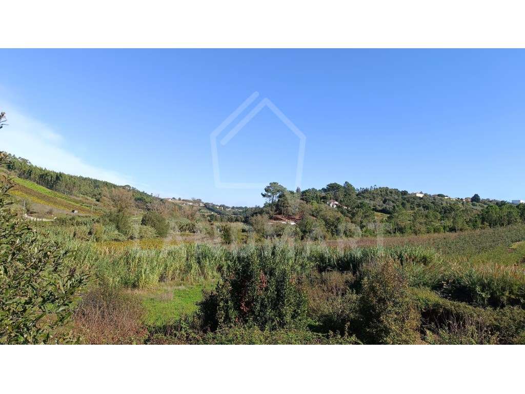 Moradia e Terreno, Vale Serrão - Alvorninha - Grande imagem: 2/9