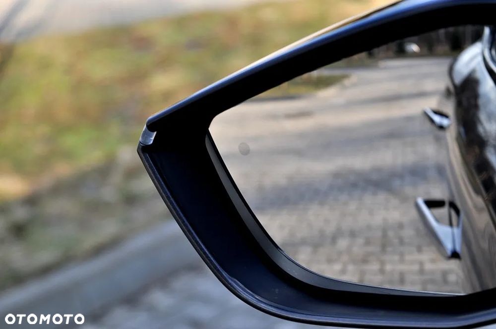 DS Automobiles DS 4 1.6 E-Tense Performance Line + - 30