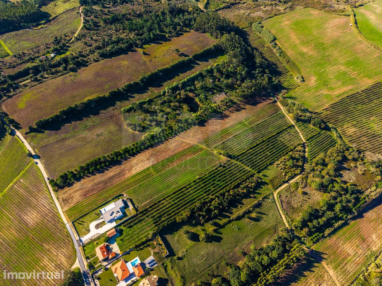 Terreno de 7240m2 com vista deslumbrante para a Serra do Montejunto - Grande imagem: 3/9