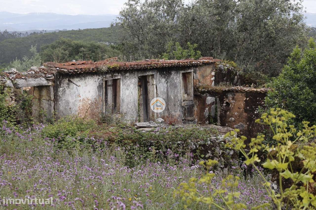 Venda moradia e palheiro em ruina - Grande imagem: 2/7