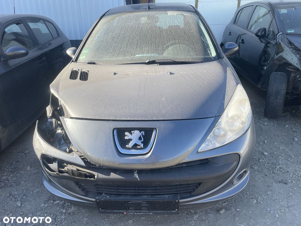 Peugeot 206 plus - 3