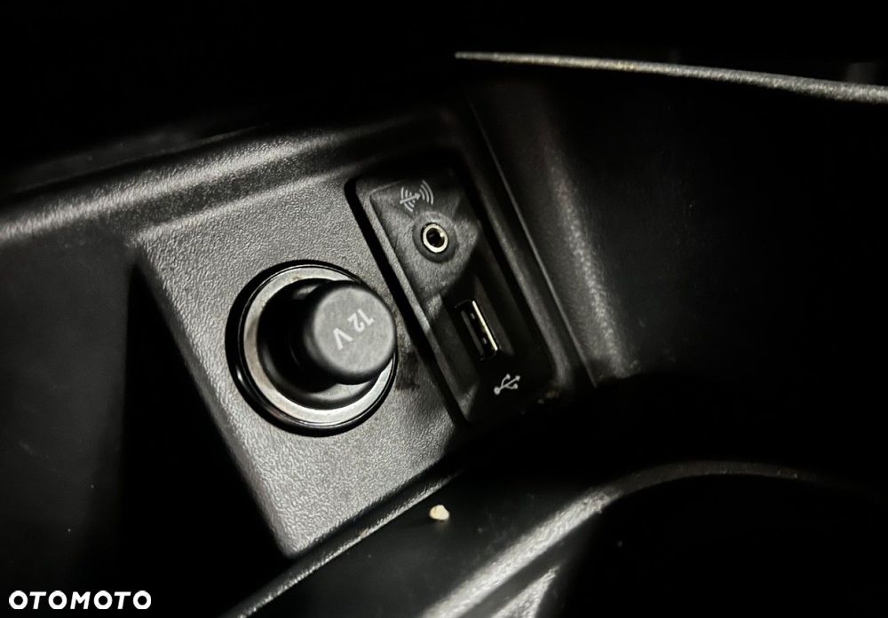Seat Ibiza - 29