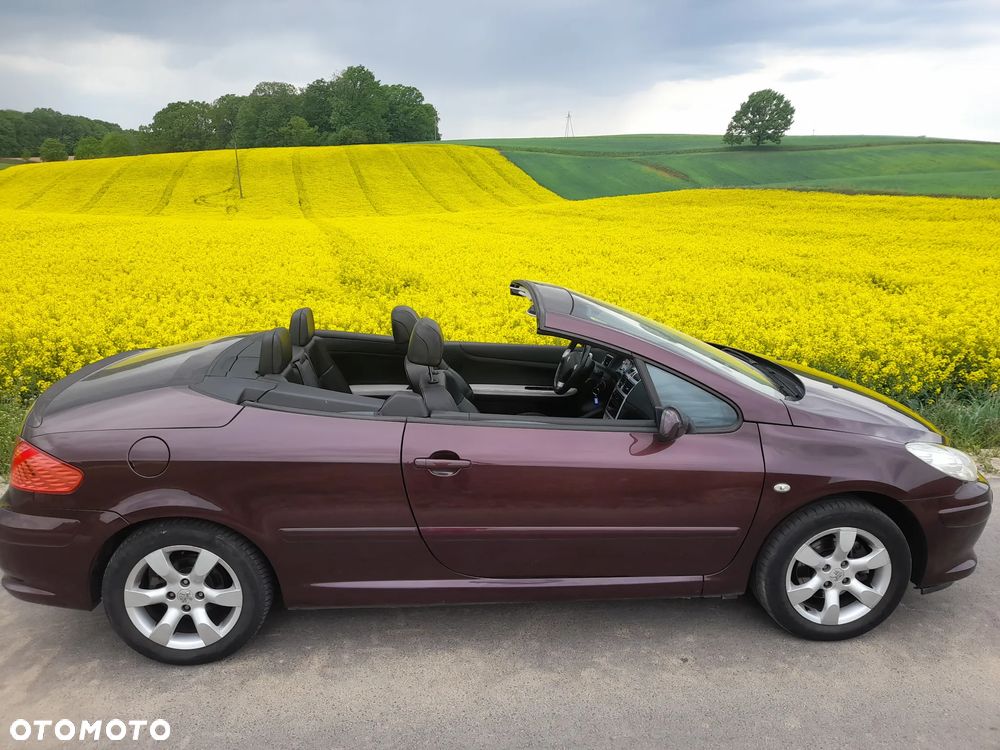Peugeot 307 CC - 24