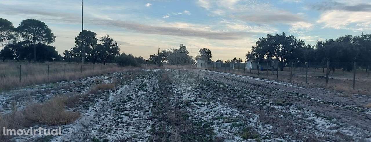 Terreno  para arrendamento - Grande imagem: 4/4