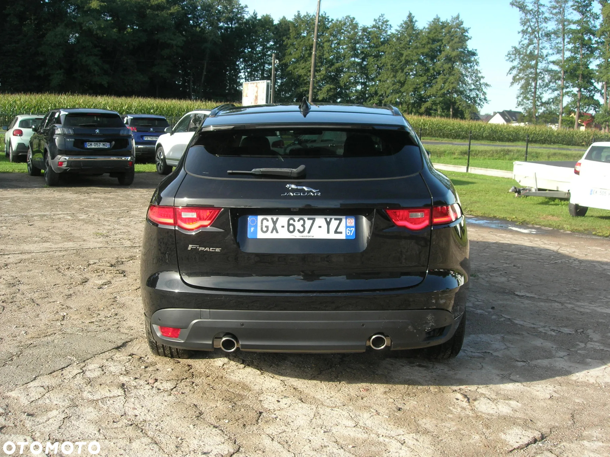 Jaguar F-Pace 30d AWD R-Sport - 8
