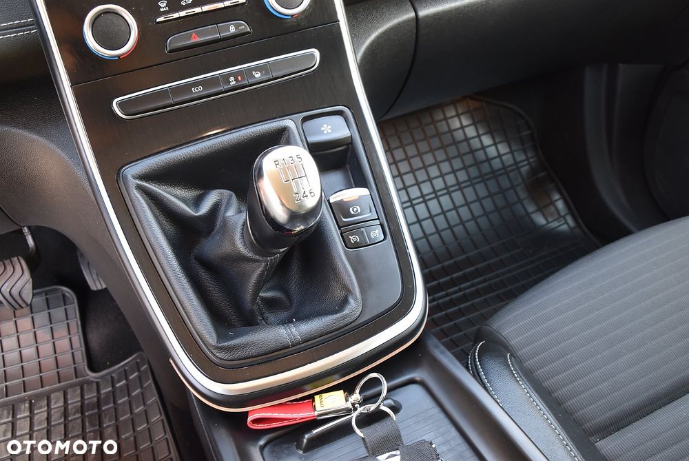 Renault Scenic - 38