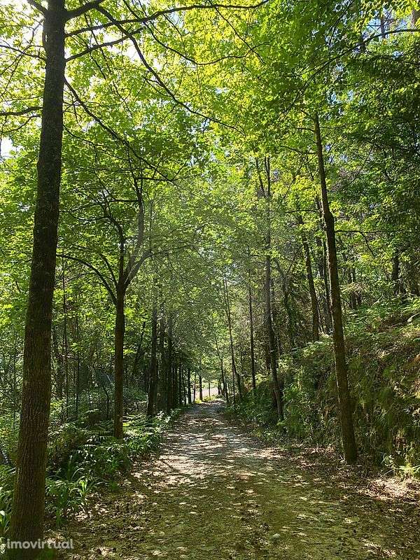 Quinta  para venda - Grande imagem: 2/40