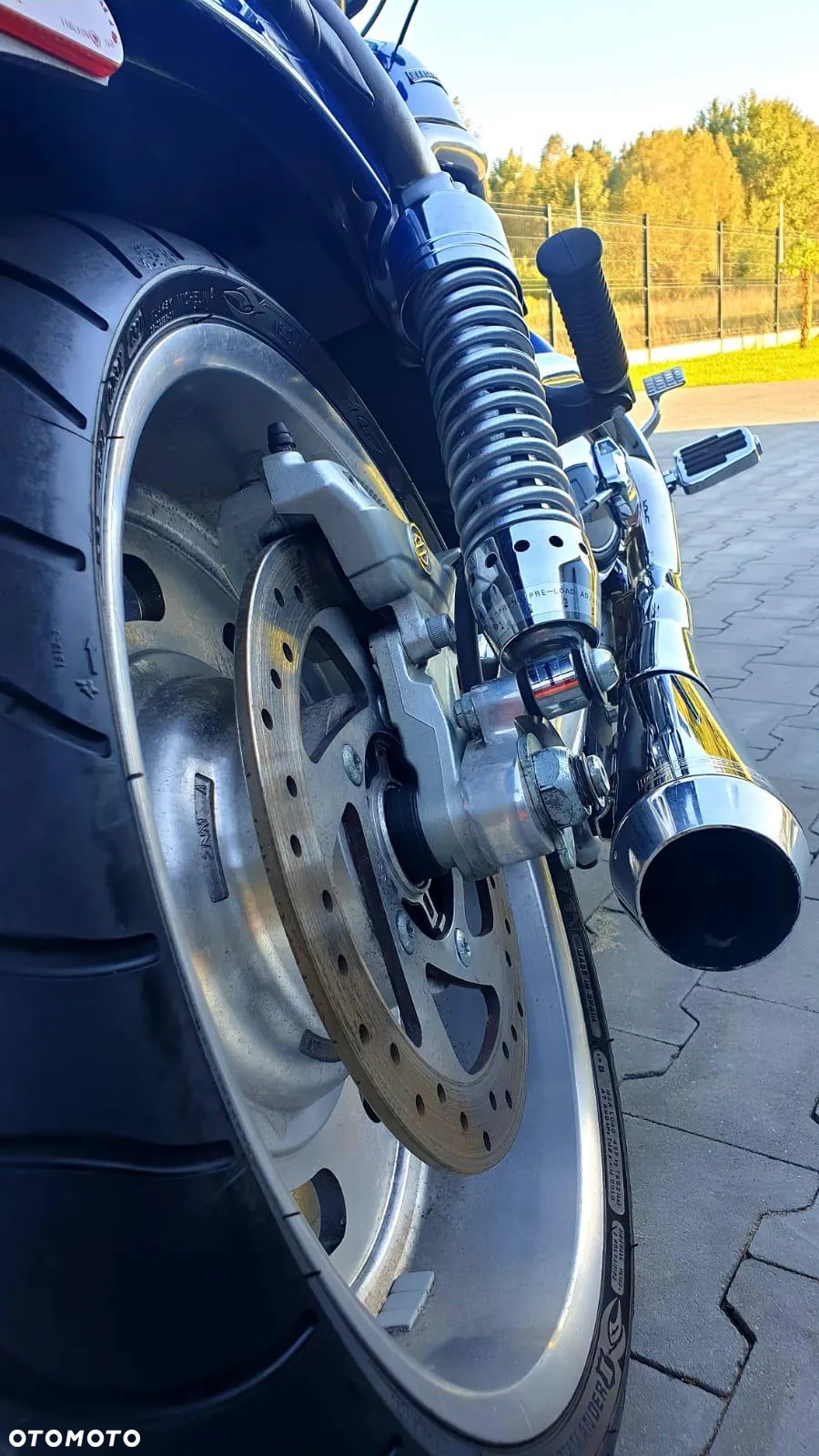 Harley-Davidson Softail V-Rod - 10
