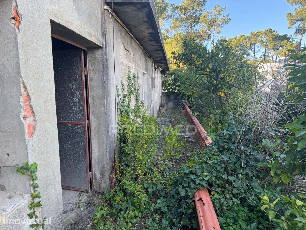 Excelente oportunidade: Terreno Urbano para construção - Grande imagem: 3/16